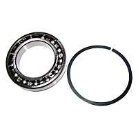 4746155 Input Shaft Bearing - Direct Fit