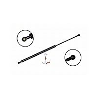 84623 Driver or Passenger Side Liftgate Lift Support