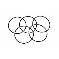 12559095 Oil Filter Adapter O-Ring