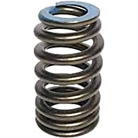 12691120 Valve Spring - Direct Fit