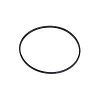15521872 Differential Seal - Direct Fit