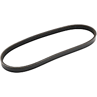 25195582 Accessory Drive Belt - Sold Individually