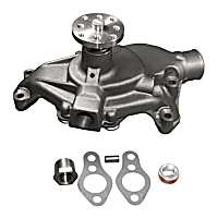 252-581 Professional Series Water Pump New