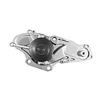252-896 Professional Series Water Pump New