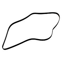 55578811 Serpentine Belt - Sold Individually