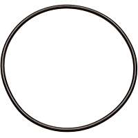 8651541 Automatic Transmission Piston Seal Ring - Direct Fit