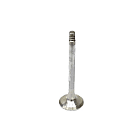 039-109-611-L Exhaust Valve - Sold individually