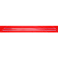 T3800 Door Molding and Beltlines