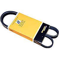 PK050446 Serpentine Belt - Direct Fit, Sold individually