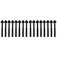 HBK1169 DNJ Cylinder Head Bolt Cylinder Head Bolt, Set of 16