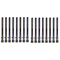 HBK260 DNJ Cylinder Head Bolt Cylinder Head Bolt, Set of 16