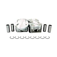 P827.20 Piston - Direct Fit, Set