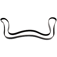 5060875 Serpentine belt, 6 Rib Count