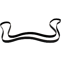 5081260 Main Drive Serpentine belt, 8 Rib Count