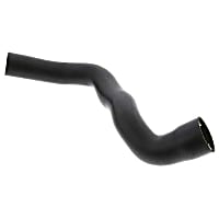 202-501-50-82 Lower Radiator Hose