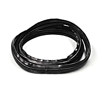 G4052 Windshield Weatherstrip Seal