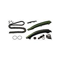 221919250 OE Replacement Series Timing Chain Kit