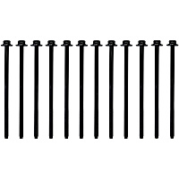 ES 72798-1 OE Replacement Series Cylinder Head Bolt, Set of 12