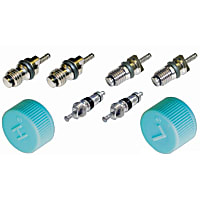 26862 A/C Caps and Valve Core Seal Kit - Direct Fit