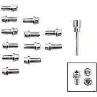 2230G Direct Fit Header Bolts, Set of 12
