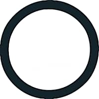 33619 Thermostat Gasket