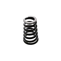 996-105-118-01 Valve Spring