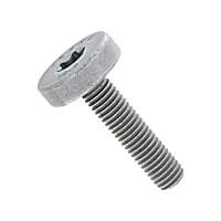 PAF008362 Accessory Drive Belt Tensioner Bolt