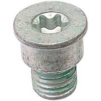 PAF910282 Brake Disc Set Screw