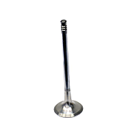 11-34-1-433-699 Exhaust Valve - Sold individually