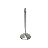 11-34-7-503-737 Intake Valve - Sold individually