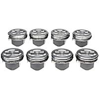 224-3543WR.060 Piston - Set of 8