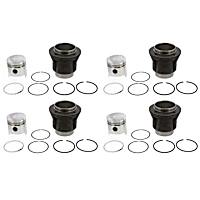 311-198-069 F Piston - Sold Individually