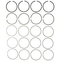 42095CP Piston Ring Set - Set