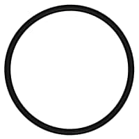 72133 Distributor O-Ring