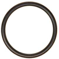 C33628 Thermostat Gasket - Sold Individually