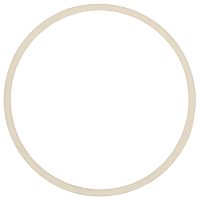 G27098 Air Cleaner Mount Gasket