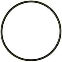 G31914 Intake Plenum Gasket