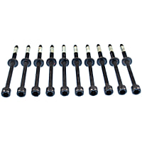 GS33597 Cylinder Head Bolt, Set of 10