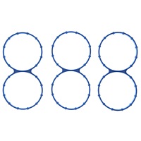 MS19219 Intake Plenum Gasket