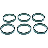 MS19844 Intake Plenum Gasket