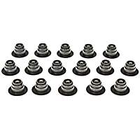 SS45887 OE Replacement Series Valve Stem Seal - Set of 16
