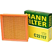 C22117 Air Filter