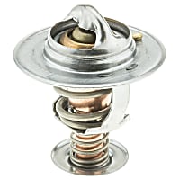319-170 Thermostat