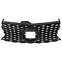 Grille Assembly, Painted Gray Shell and Insert, CAPA CERTIFIED