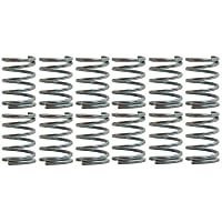 H1168 R-Line Series Brake Shoe Spring Kit - Direct Fit, Kit