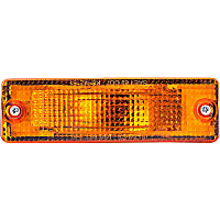 1630252 Front, Driver or Passenger Side Turn Signal Light, With bulb(s)