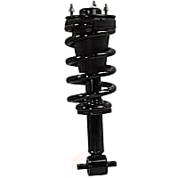 Shock Absorber And Strut Assembly