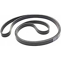 Main Drive Serpentine belt