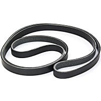 Main Drive Serpentine belt