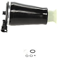 Air Spring - Rear, Driver or Passenger Side, Sold individually